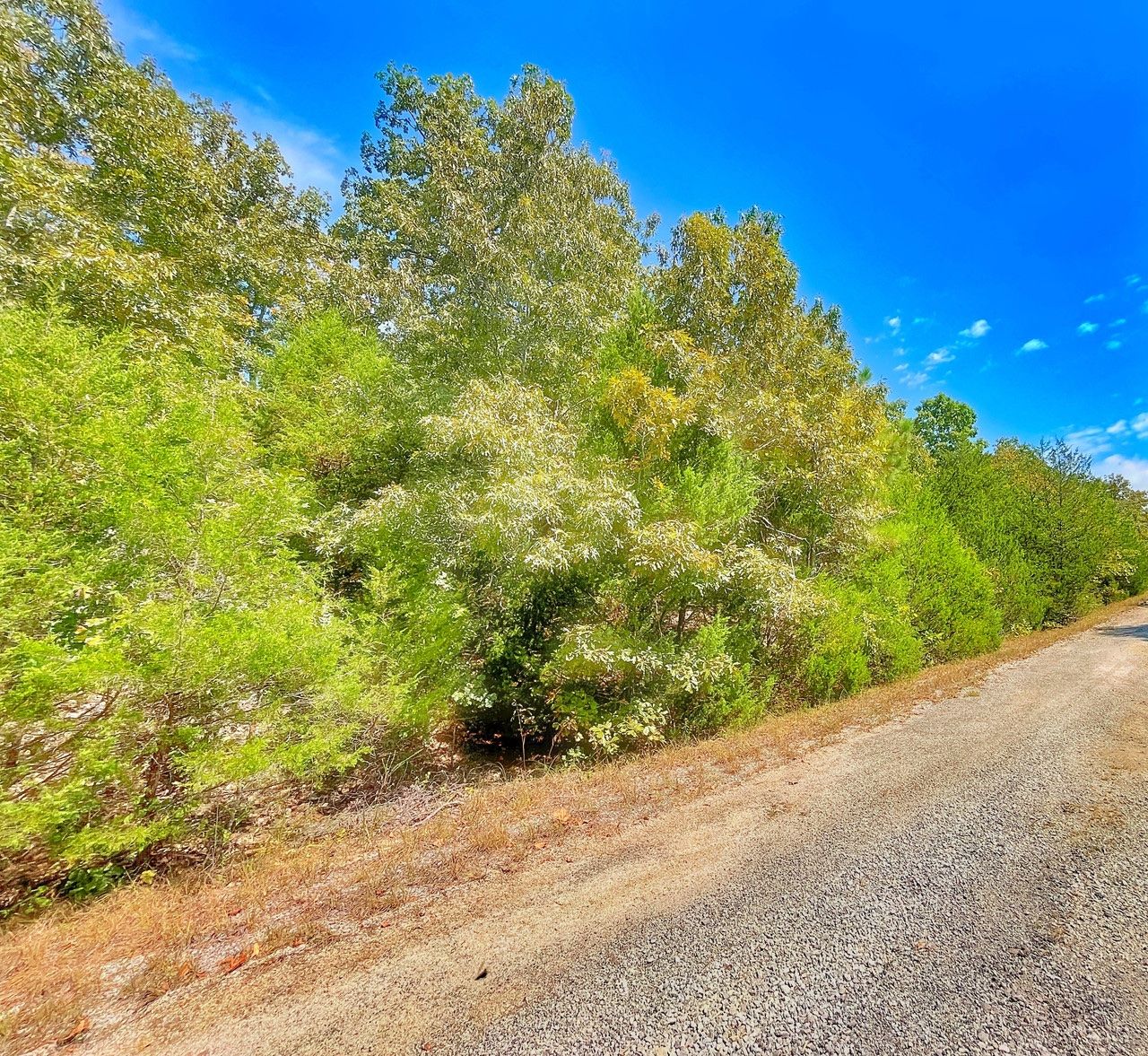Parcel 800-03203-000 in Izard County, AR