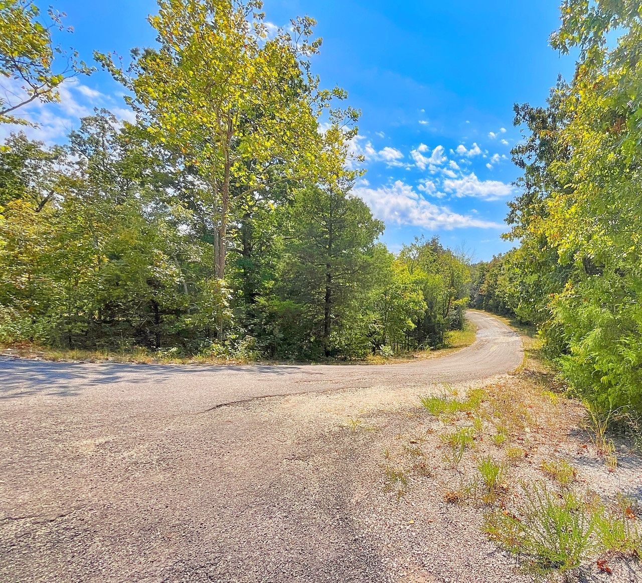 Parcel 800-03203-000 in Izard County, AR