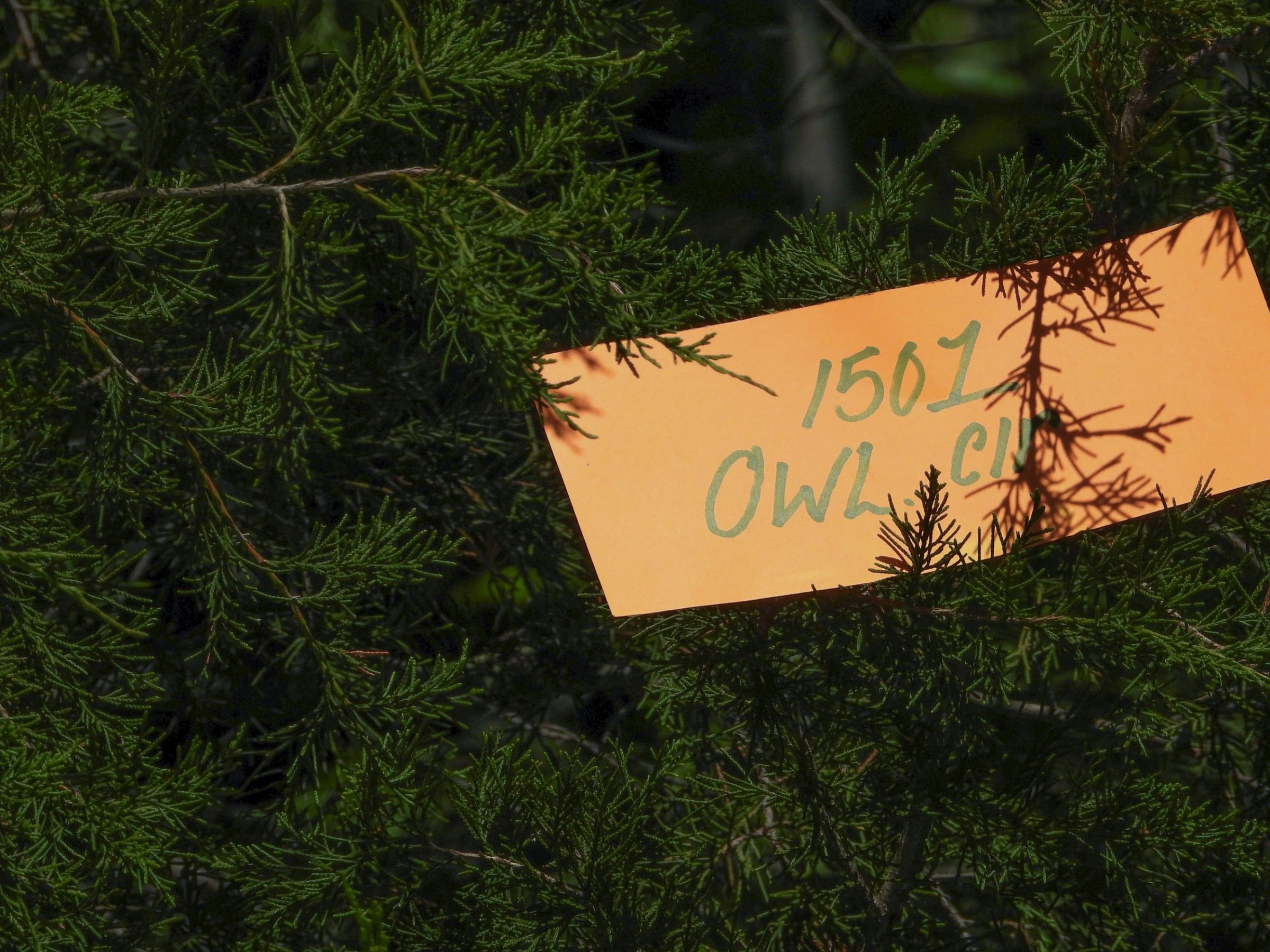 1501 OWL CIR, HORSESHOE BEND, AR 72512