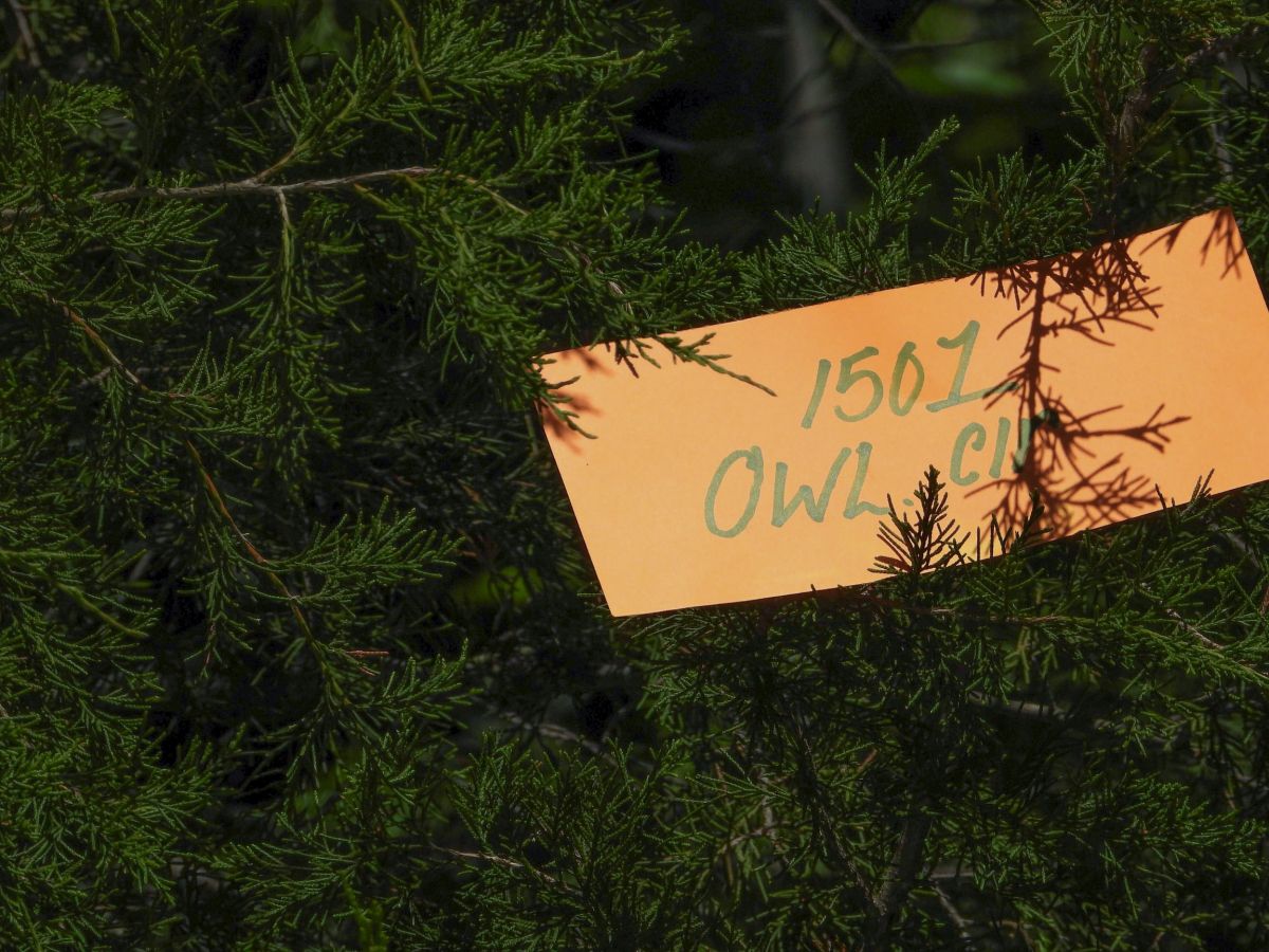 1501 OWL CIR, HORSESHOE BEND, AR 72512 - Main image