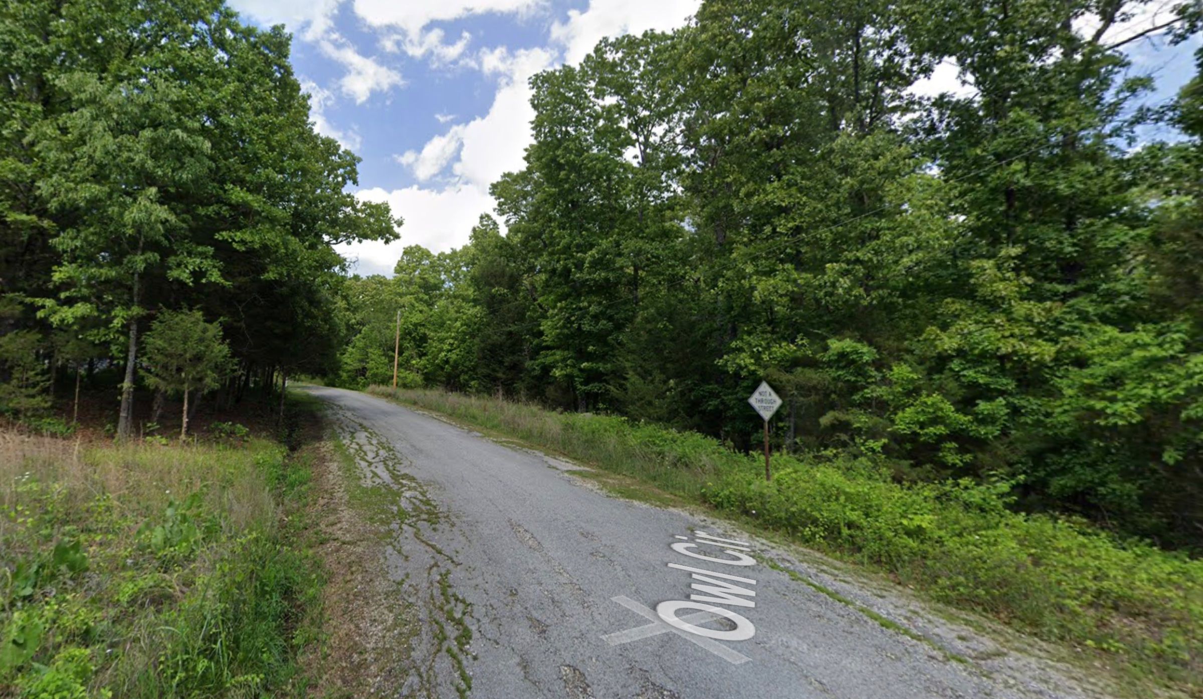 1501 OWL CIR, HORSESHOE BEND, AR 72512 in Izard County, AR