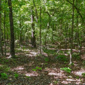 1104 TEXAS DR, HORSESHOE BEND, AR 72512 in Izard County, AR