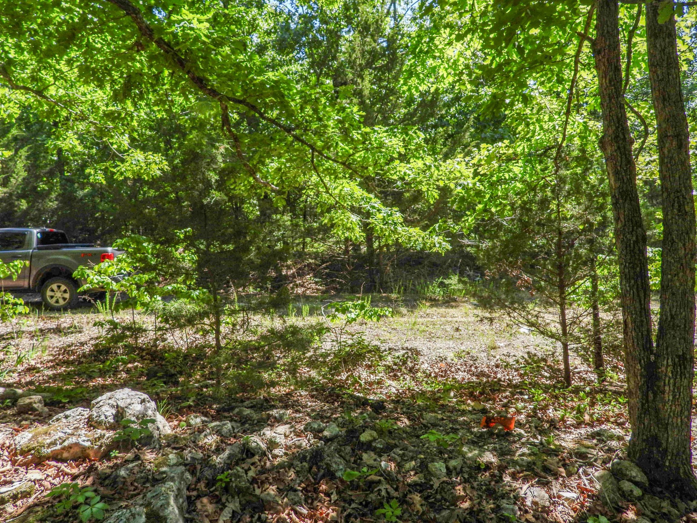 1104 TEXAS DR, HORSESHOE BEND, AR 72512 in Izard County, AR
