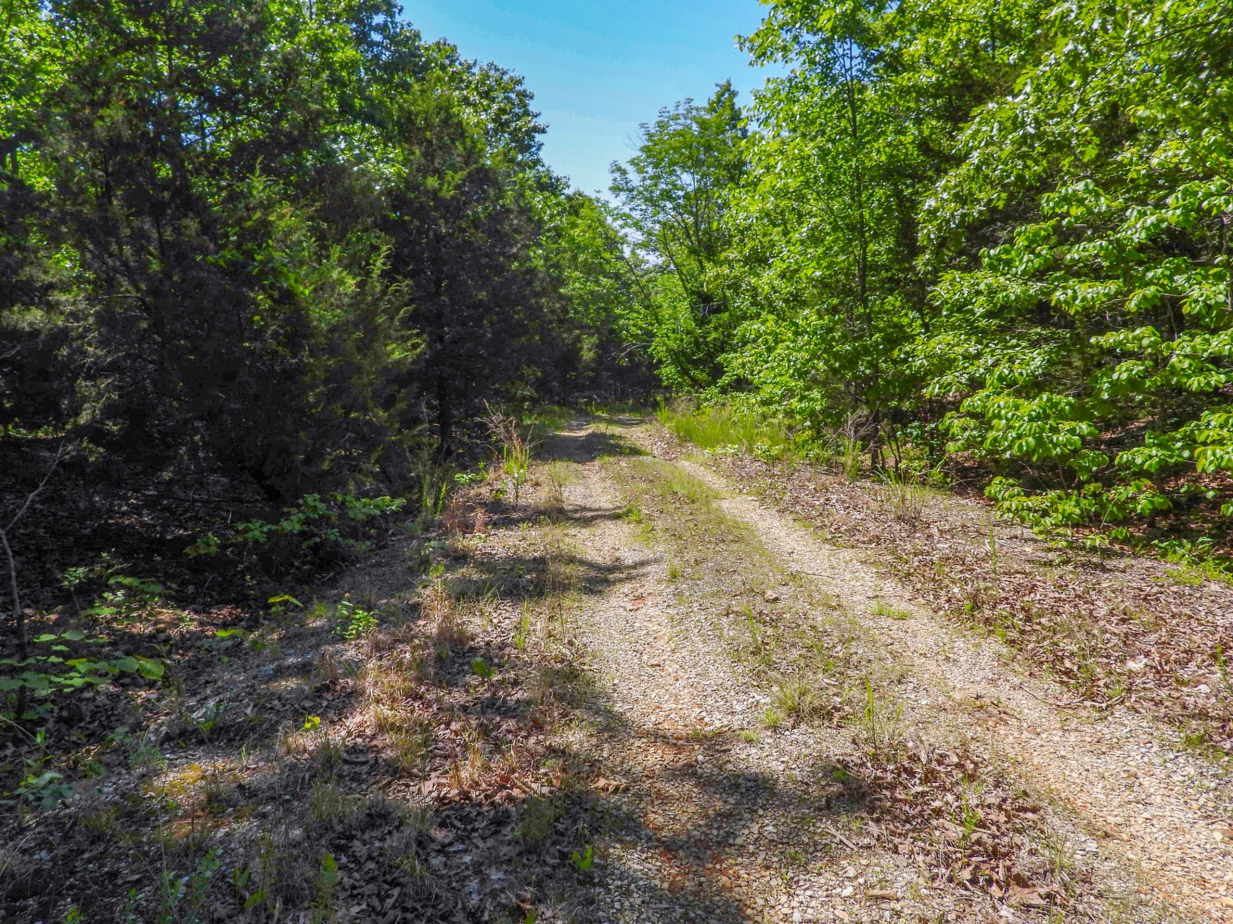 1104 TEXAS DR, HORSESHOE BEND, AR 72512