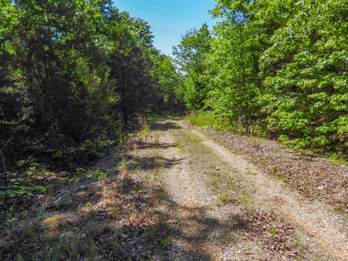 1104 TEXAS DR, HORSESHOE BEND, AR 72512 - Image 3