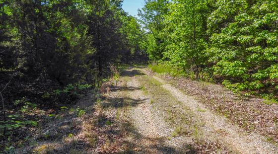 1104 TEXAS DR, HORSESHOE BEND, AR 72512 in Izard County, AR