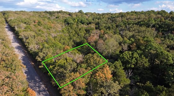 1107 CANARY LN, HORSESHOE BEND, AR 72512 in Izard County, AR