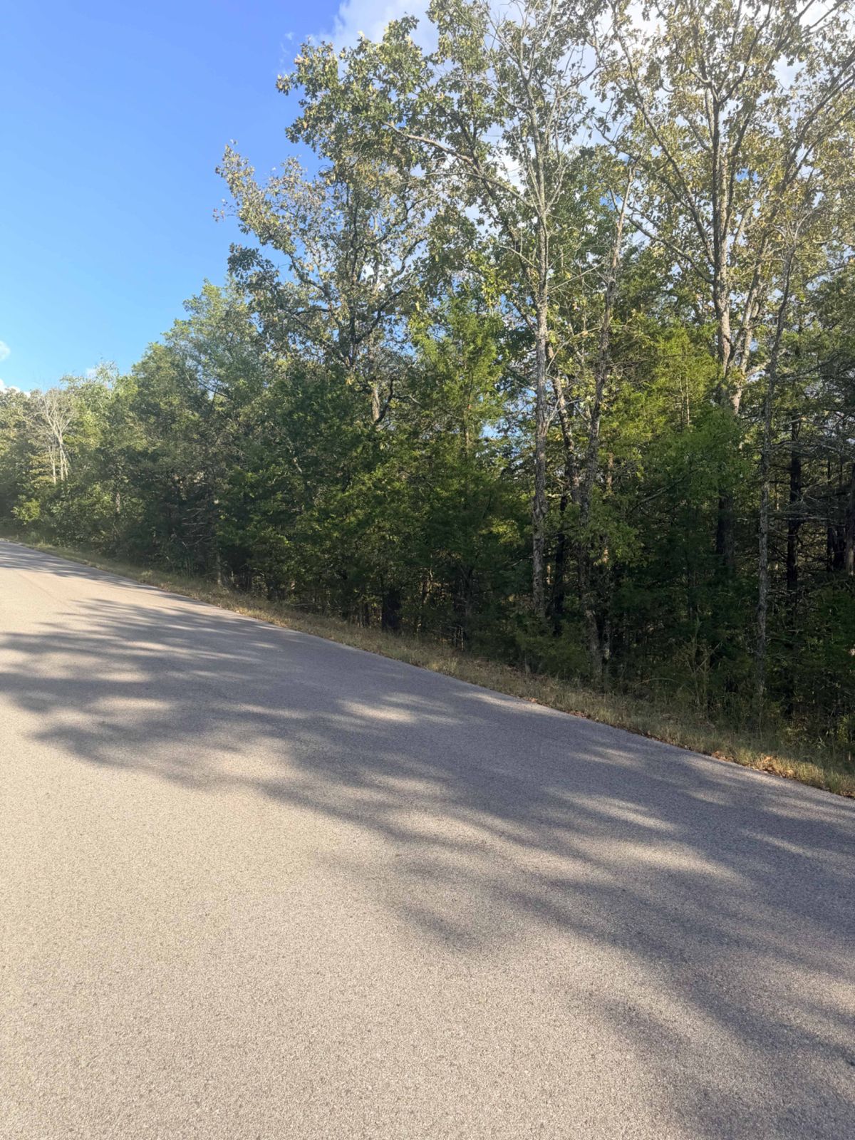 1107 CANARY LN, HORSESHOE BEND, AR 72512 - Image 4