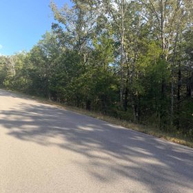 1107 CANARY LN, HORSESHOE BEND, AR 72512 in Izard County, AR