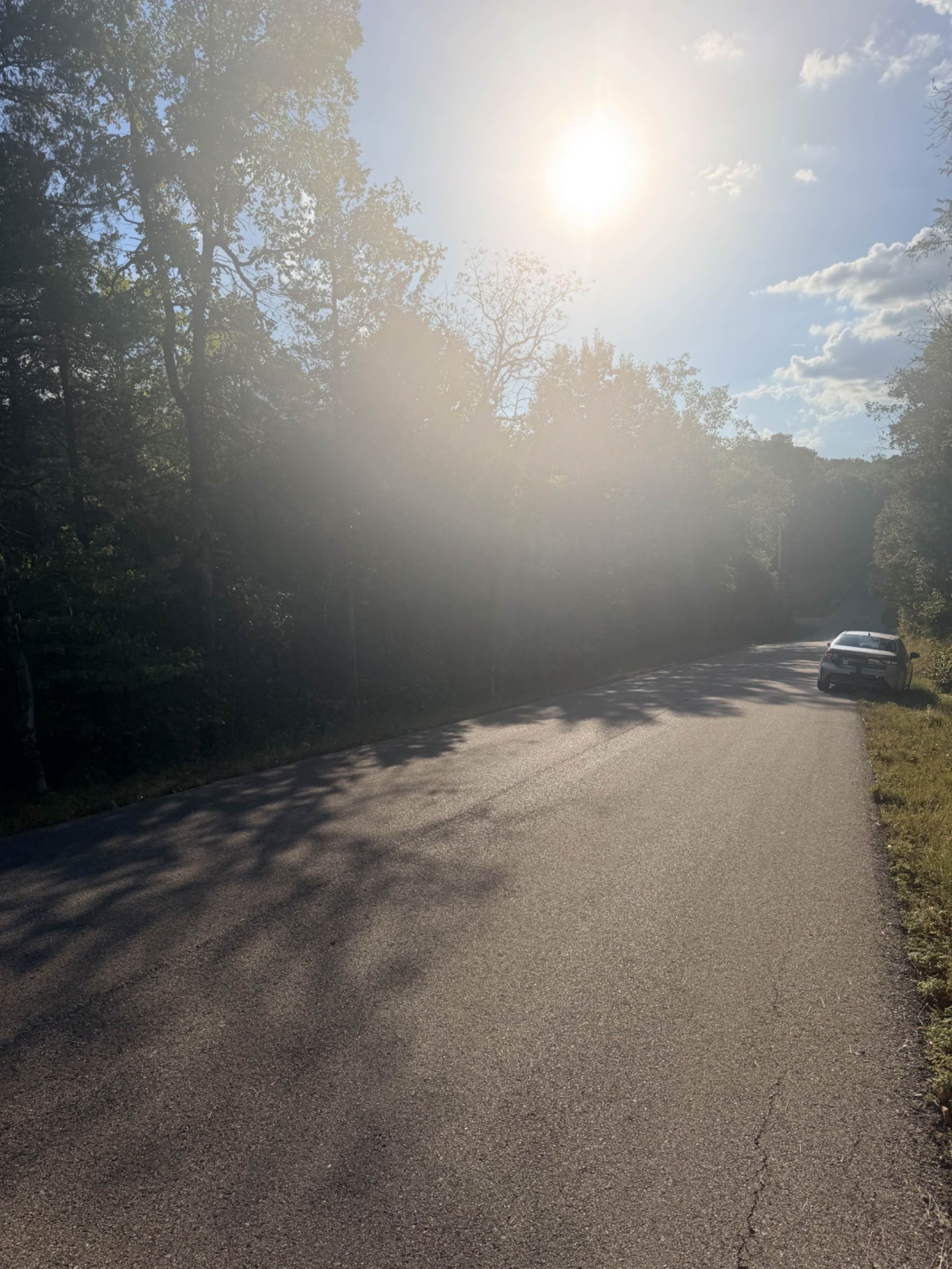 1107 CANARY LN, HORSESHOE BEND, AR 72512 in Izard County, AR