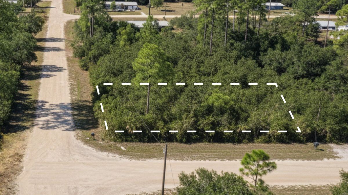 FL - Image 4
