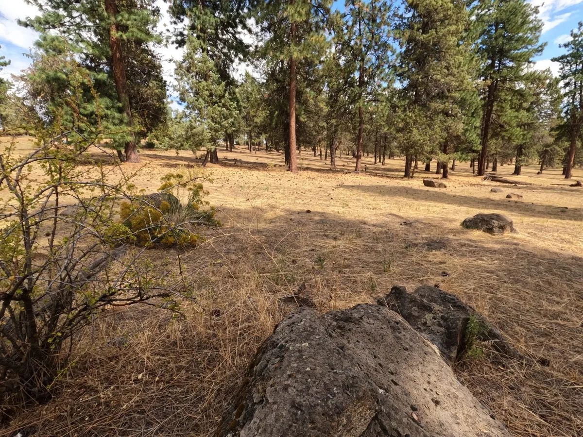 Decorative background for Your Running Y Retreat – Golf, Lake Access & Village Charm Await! image 9