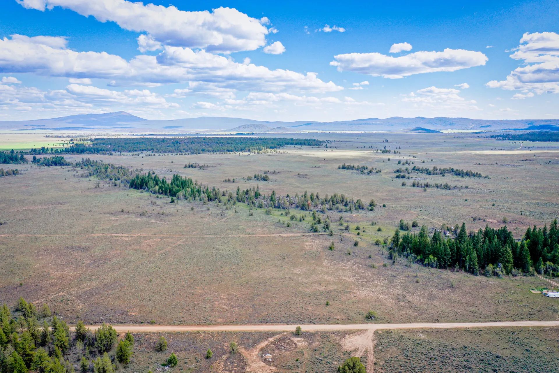 Own 1.52 Acres of Raw, Untamed Oregon Wilderness – No Bull, No Beauty! in Klamath County, OR