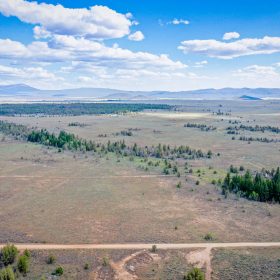 Own 1.52 Acres of Raw, Untamed Oregon Wilderness – No Bull, No Beauty! in Klamath County, OR