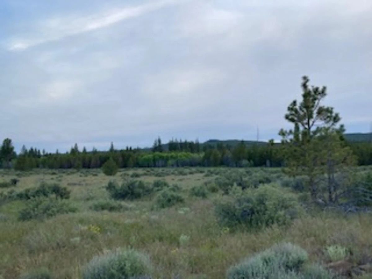 Decorative background for Own 1.52 Acres of Raw, Untamed Oregon Wilderness – No Bull, No Beauty! image 6