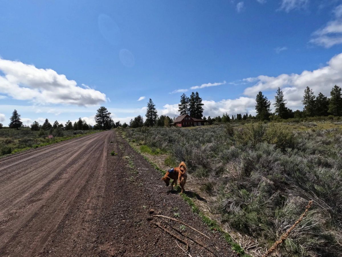Decorative background for 0.52-Acre Buildable Lot Near Agency Lake – Zoned R-2 – Ready for Development image 5