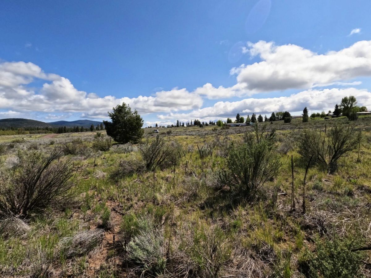 Decorative background for 0.52-Acre Buildable Lot Near Agency Lake – Zoned R-2 – Ready for Development image 9