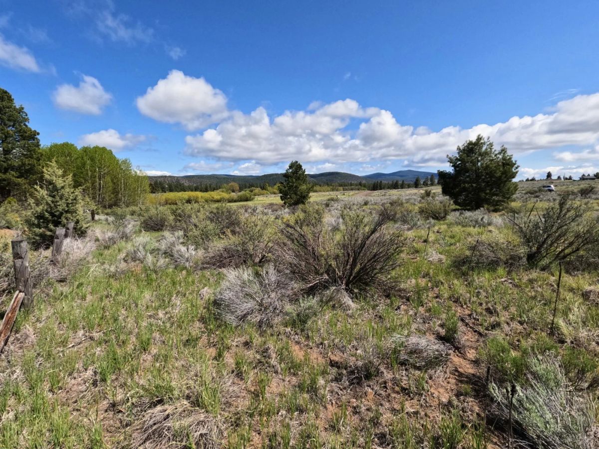 Decorative background for 0.52-Acre Buildable Lot Near Agency Lake – Zoned R-2 – Ready for Development image 10