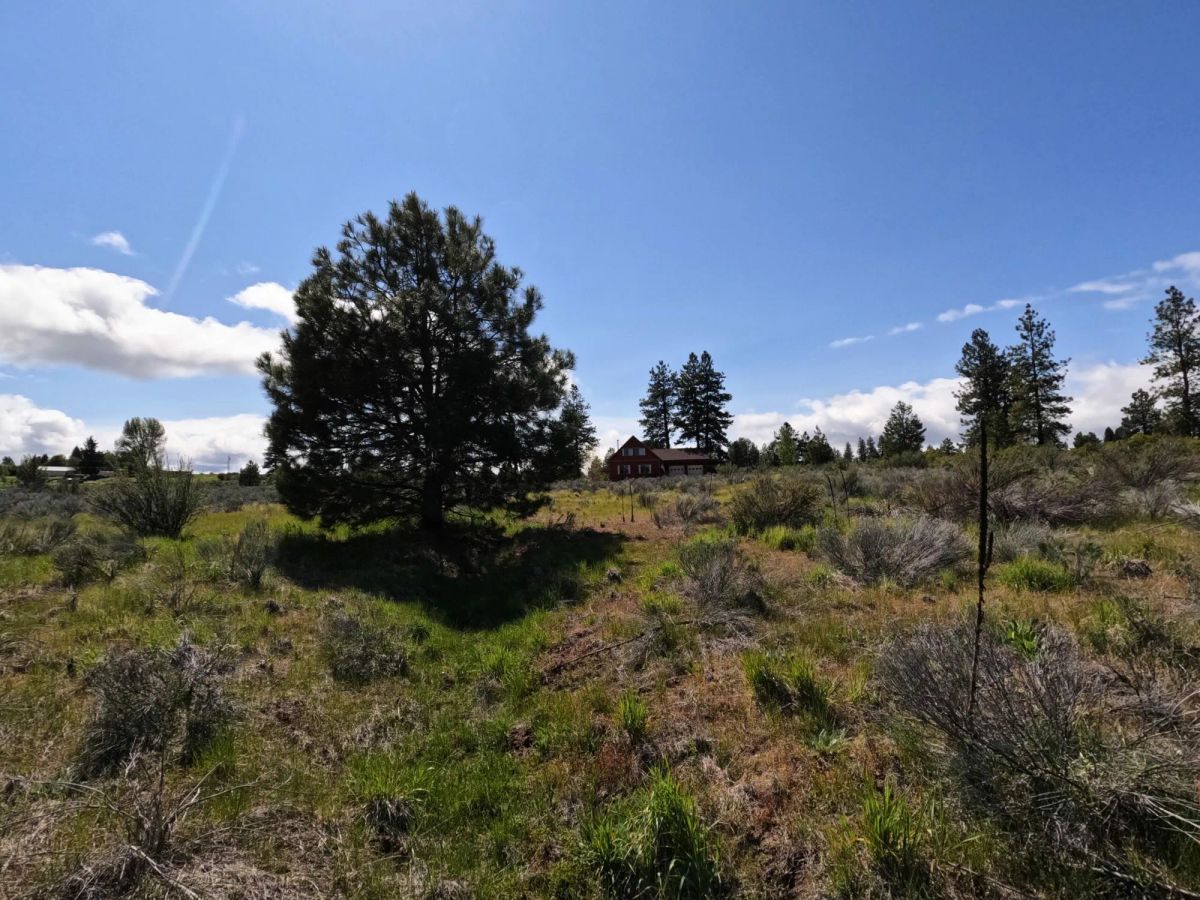 Decorative background for 0.52-Acre Buildable Lot Near Agency Lake – Zoned R-2 – Ready for Development image 11