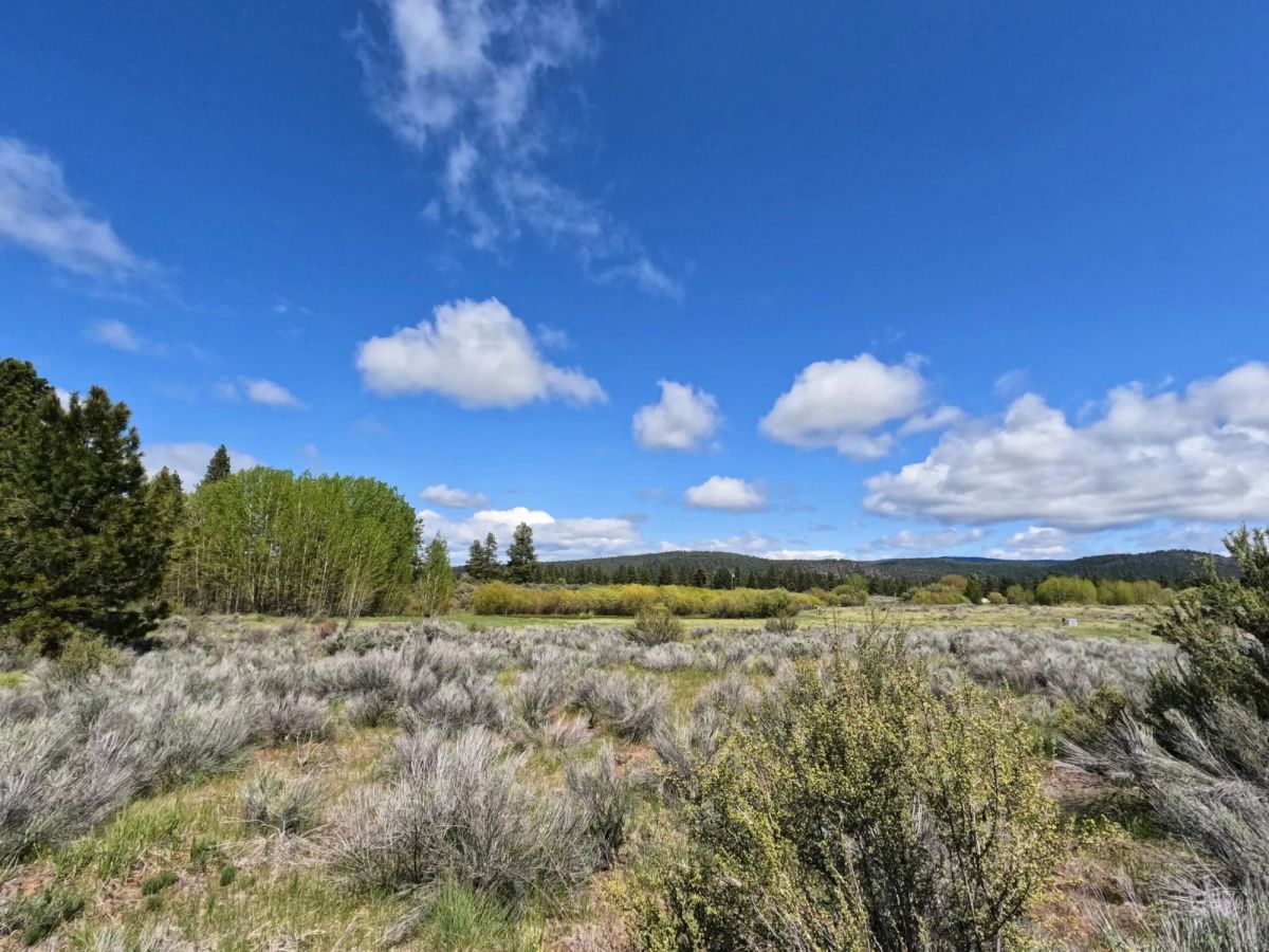 Decorative background for 0.52-Acre Buildable Lot Near Agency Lake – Zoned R-2 – Ready for Development image 14