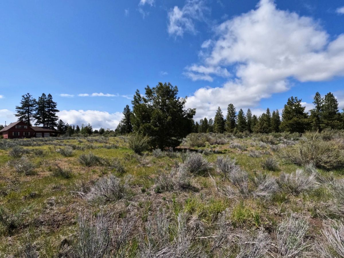 Decorative background for 0.52-Acre Buildable Lot Near Agency Lake – Zoned R-2 – Ready for Development image 15