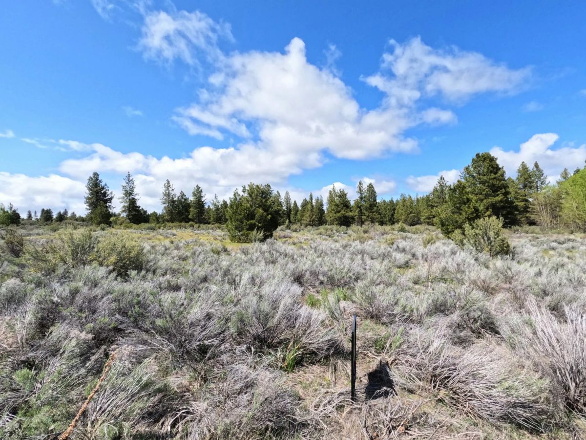 Decorative background for 0.52-Acre Buildable Lot Near Agency Lake – Zoned R-2 – Ready for Development image 16