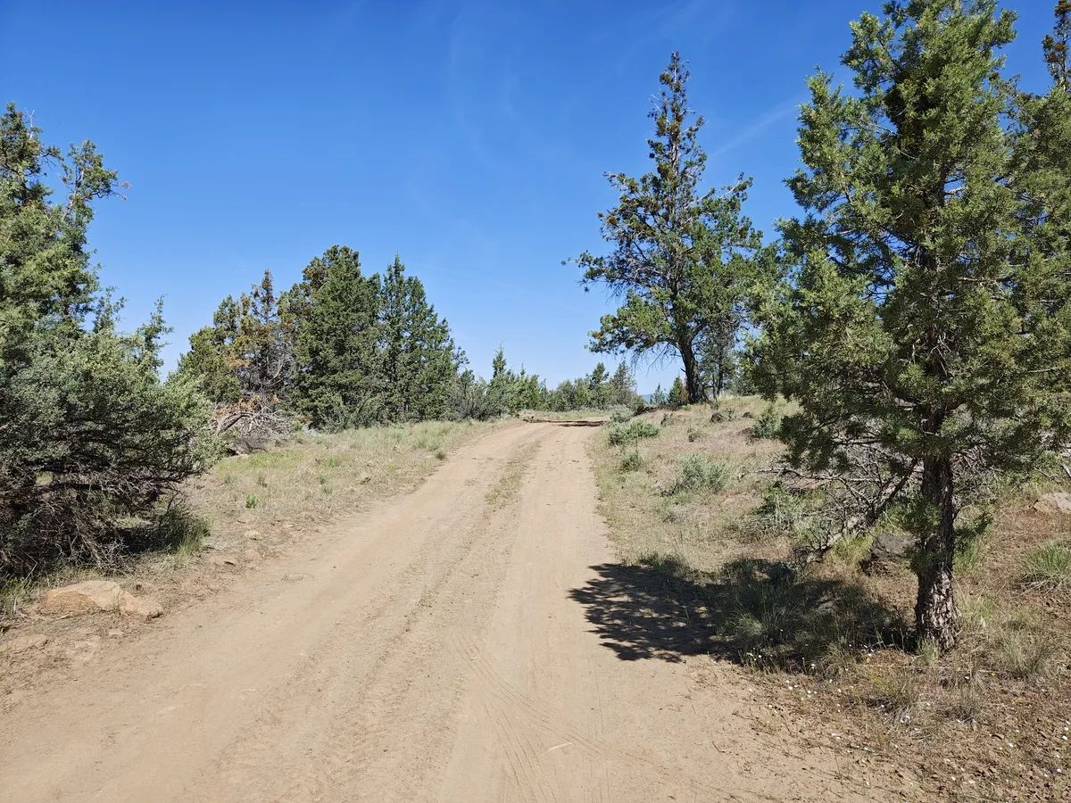 Decorative background for 1.91 Acres of Buildable Residential Land in Bonanza, Oregon – Prime Access, Power Nearby, and Ready for Your Plans image 5