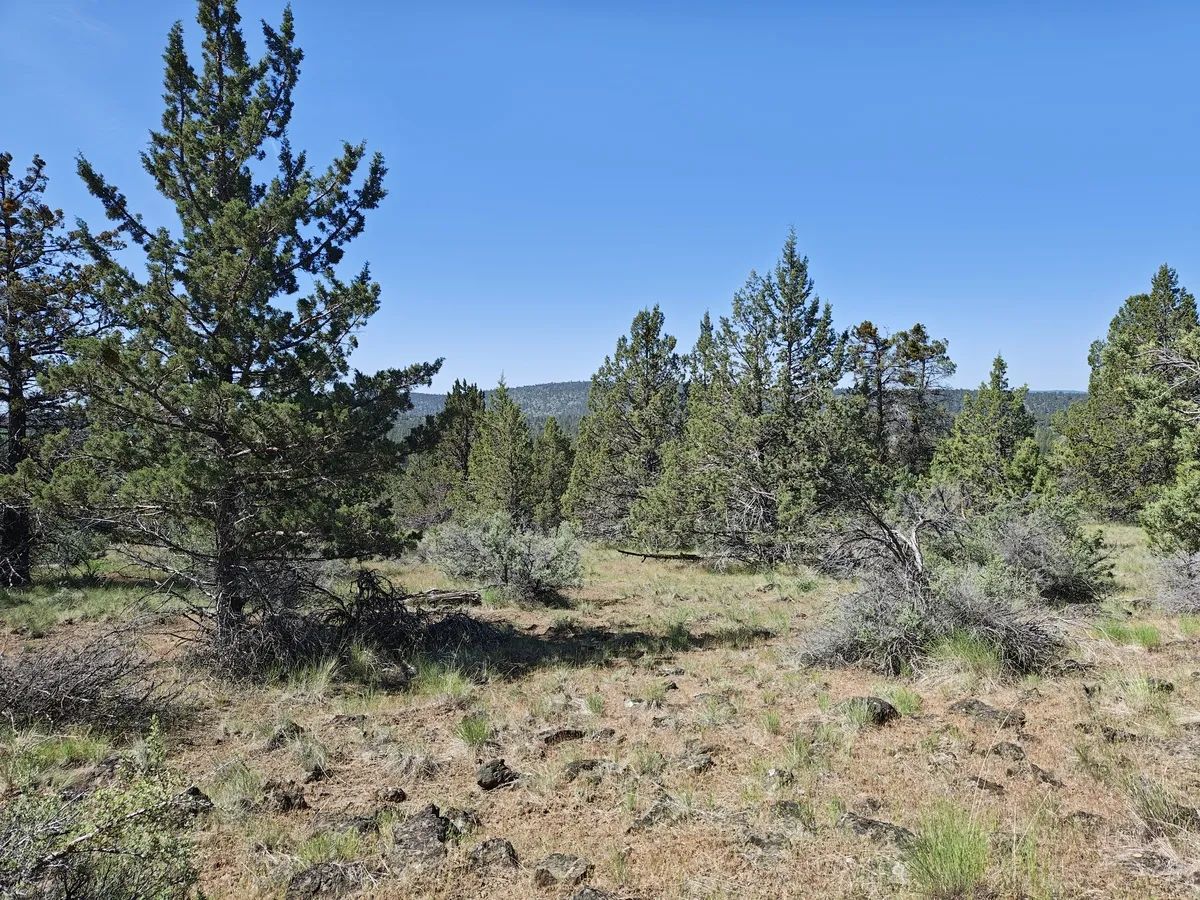 Decorative background for 1.91 Acres of Buildable Residential Land in Bonanza, Oregon – Prime Access, Power Nearby, and Ready for Your Plans image 6