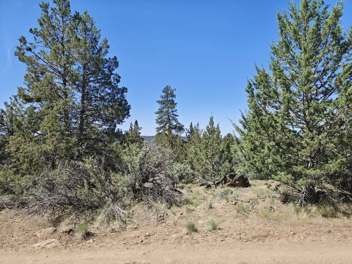 Decorative background for 1.91 Acres of Buildable Residential Land in Bonanza, Oregon – Prime Access, Power Nearby, and Ready for Your Plans image 7