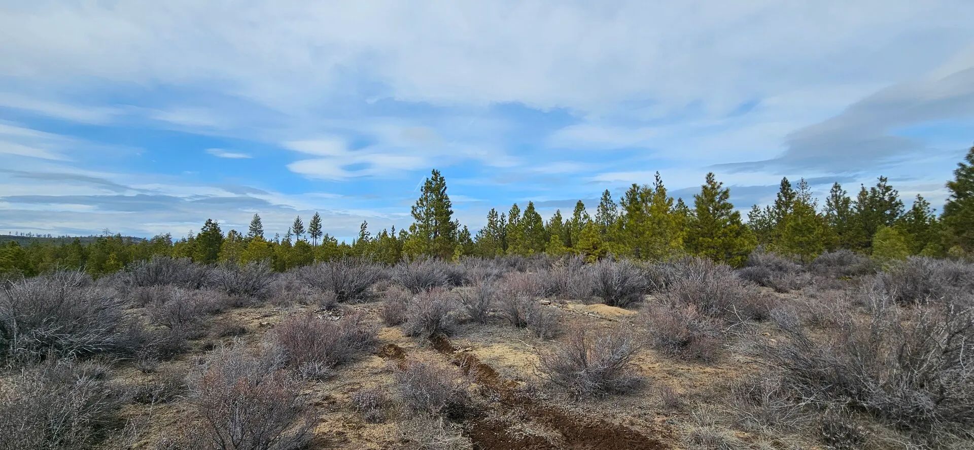 🌲 Prime Wilderness Lot Available Now! 🏞️ in Klamath County, OR