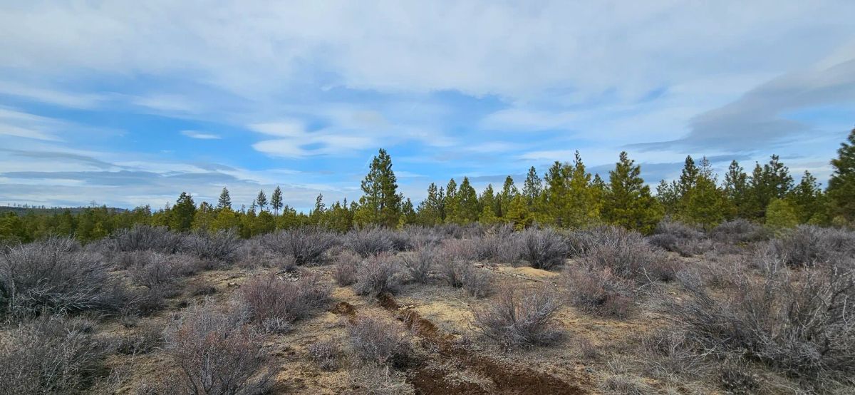 🌲 Prime Wilderness Lot Available Now! 🏞️ - Image 3