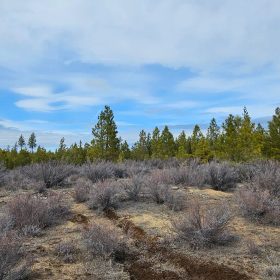 🌲 Prime Wilderness Lot Available Now! 🏞️ in Klamath County, OR