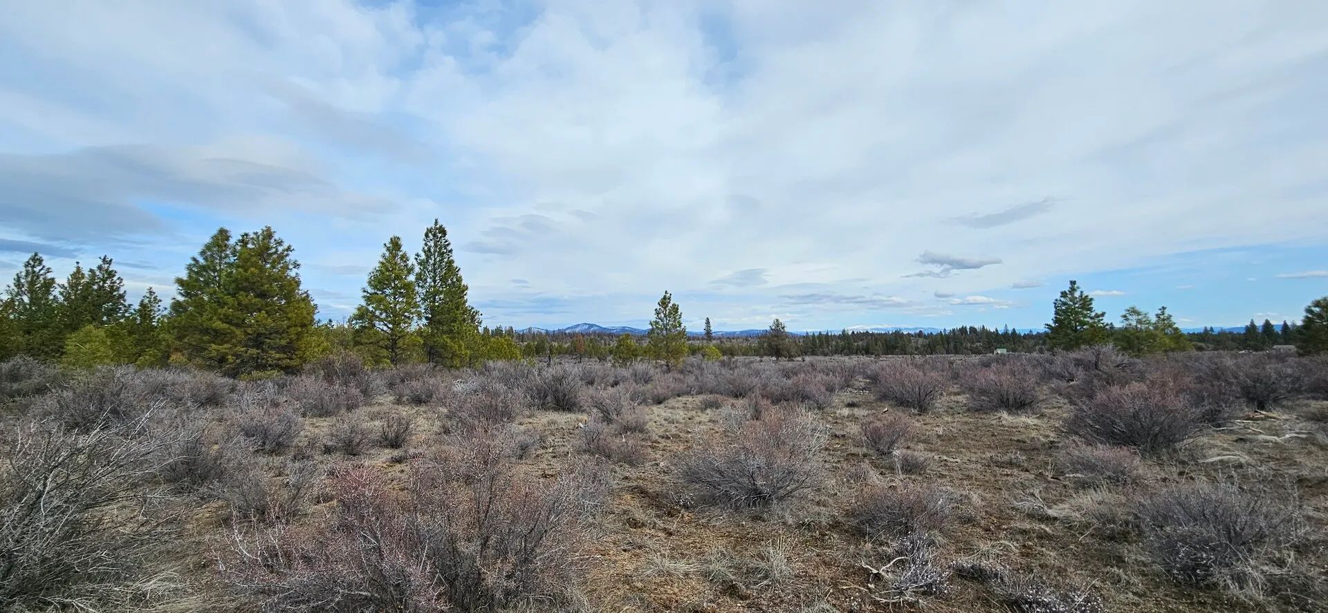 🌲 Prime Wilderness Lot Available Now! 🏞️ in Klamath County, OR