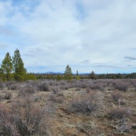 🌲 Prime Wilderness Lot Available Now! 🏞️ in Klamath County, OR