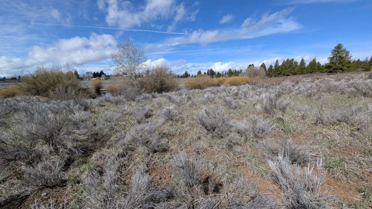 Decorative background for .43 Acres – Buildable Lot with Pond & Utilities in Lakeside Community image 5
