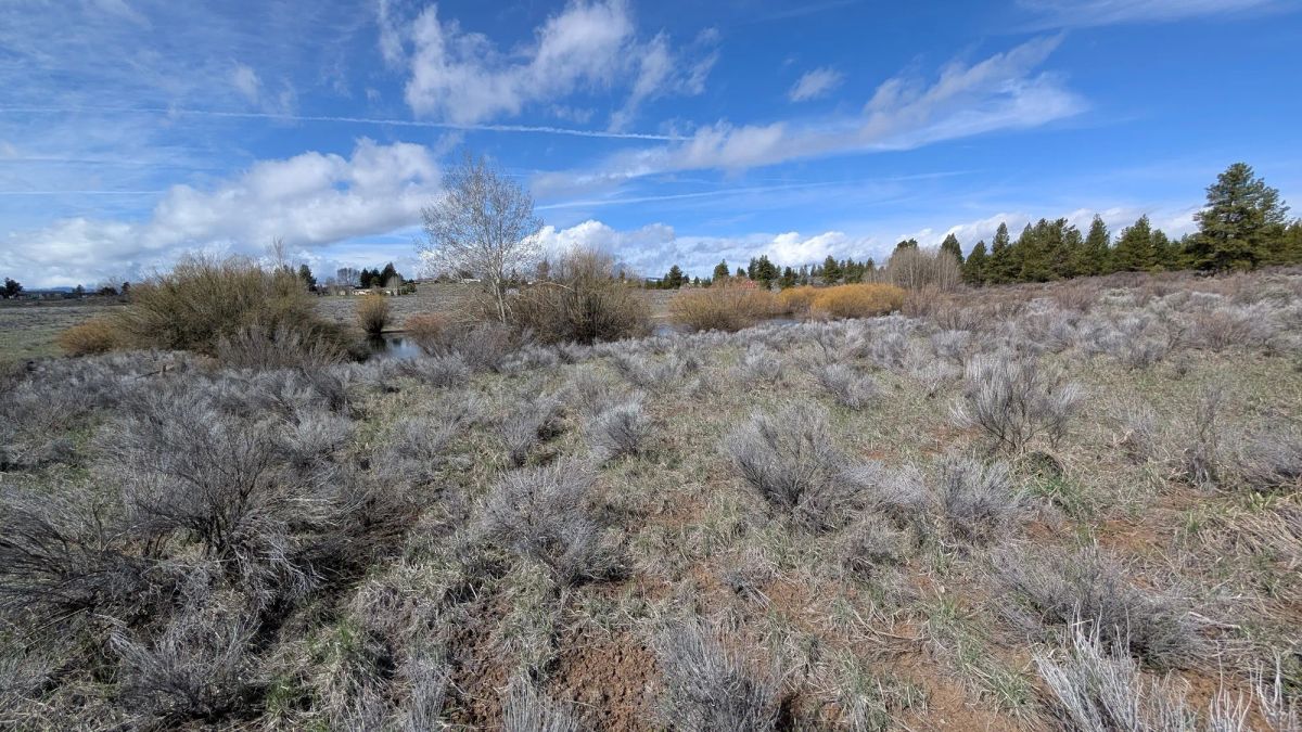 Decorative background for .43 Acres – Buildable Lot with Pond & Utilities in Lakeside Community image 6