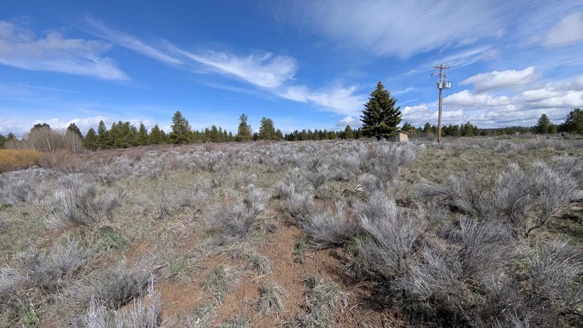 Decorative background for .43 Acres – Buildable Lot with Pond & Utilities in Lakeside Community image 7