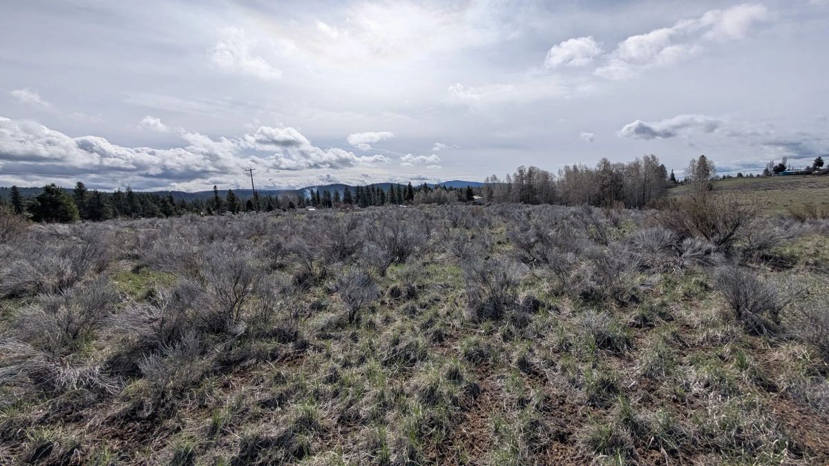 Decorative background for .43 Acres – Buildable Lot with Pond & Utilities in Lakeside Community image 8