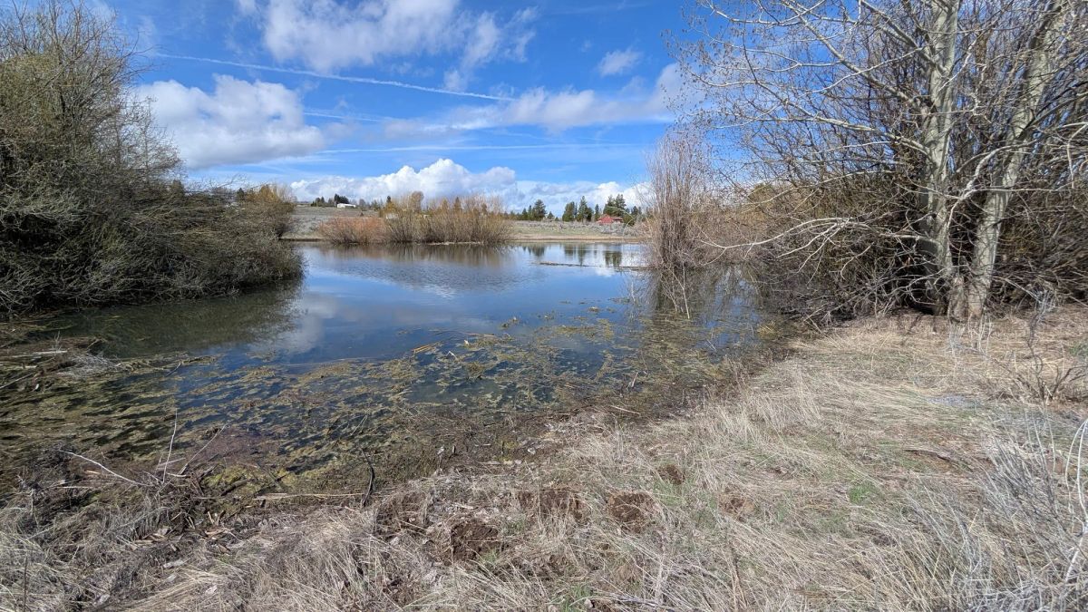 Decorative background for .43 Acres – Buildable Lot with Pond & Utilities in Lakeside Community image 9