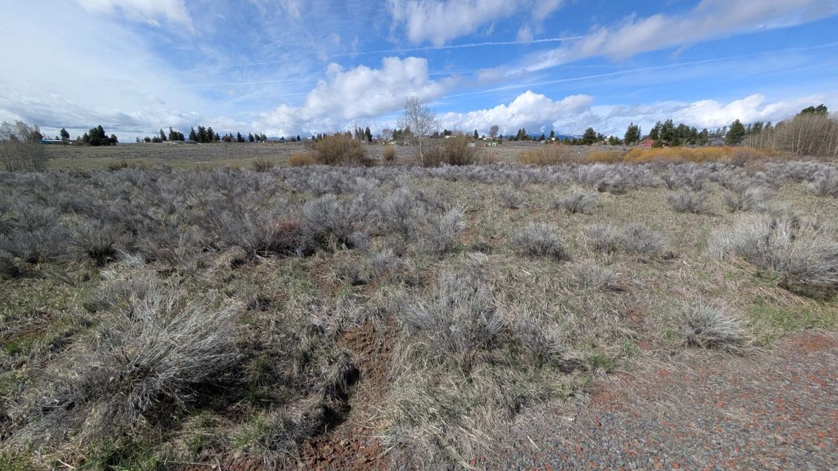Decorative background for .43 Acres – Buildable Lot with Pond & Utilities in Lakeside Community image 10