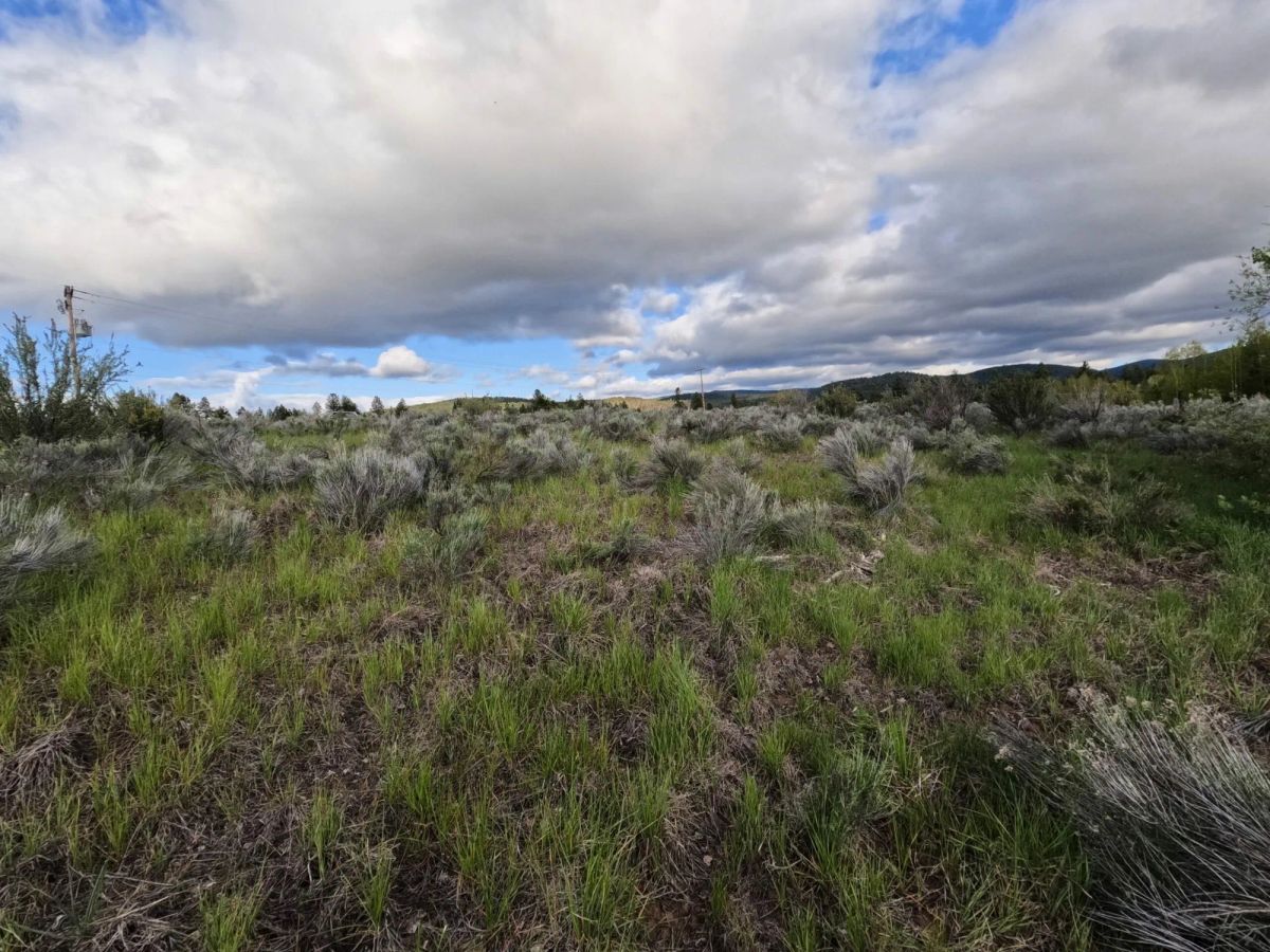 Decorative background for .43 Acres – Buildable Lot with Pond & Utilities in Lakeside Community image 12