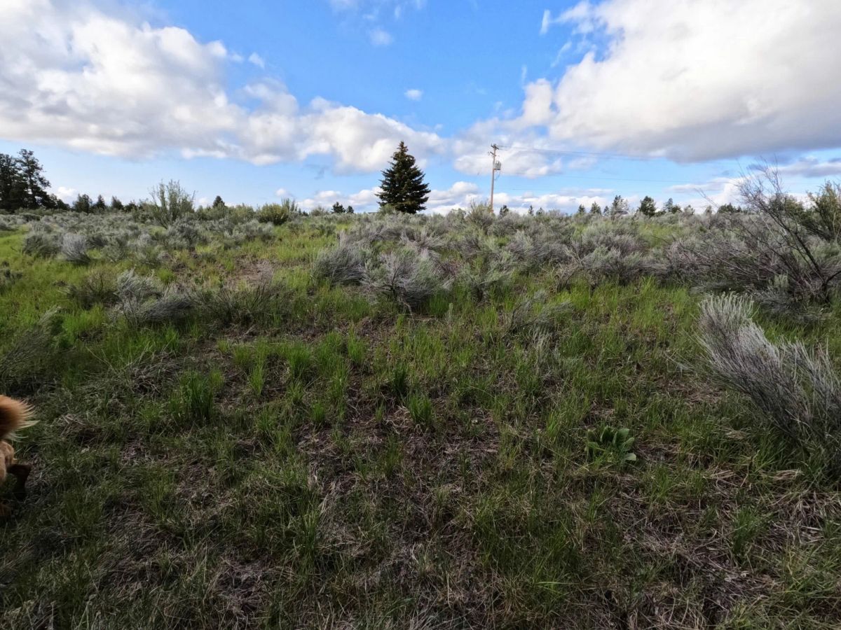 Decorative background for .43 Acres – Buildable Lot with Pond & Utilities in Lakeside Community image 13