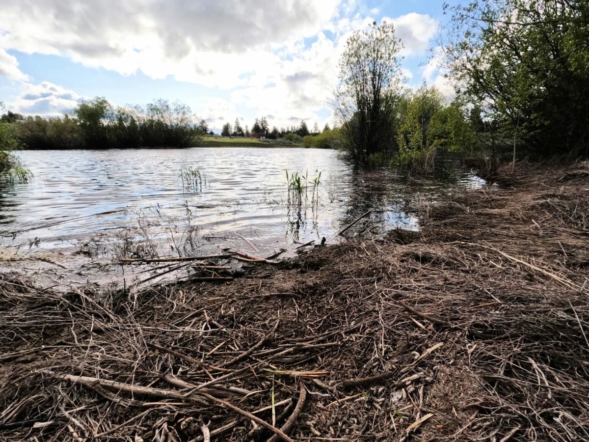 Decorative background for .43 Acres – Buildable Lot with Pond & Utilities in Lakeside Community image 14