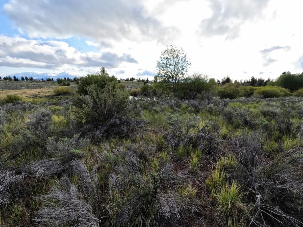 Decorative background for .43 Acres – Buildable Lot with Pond & Utilities in Lakeside Community image 16
