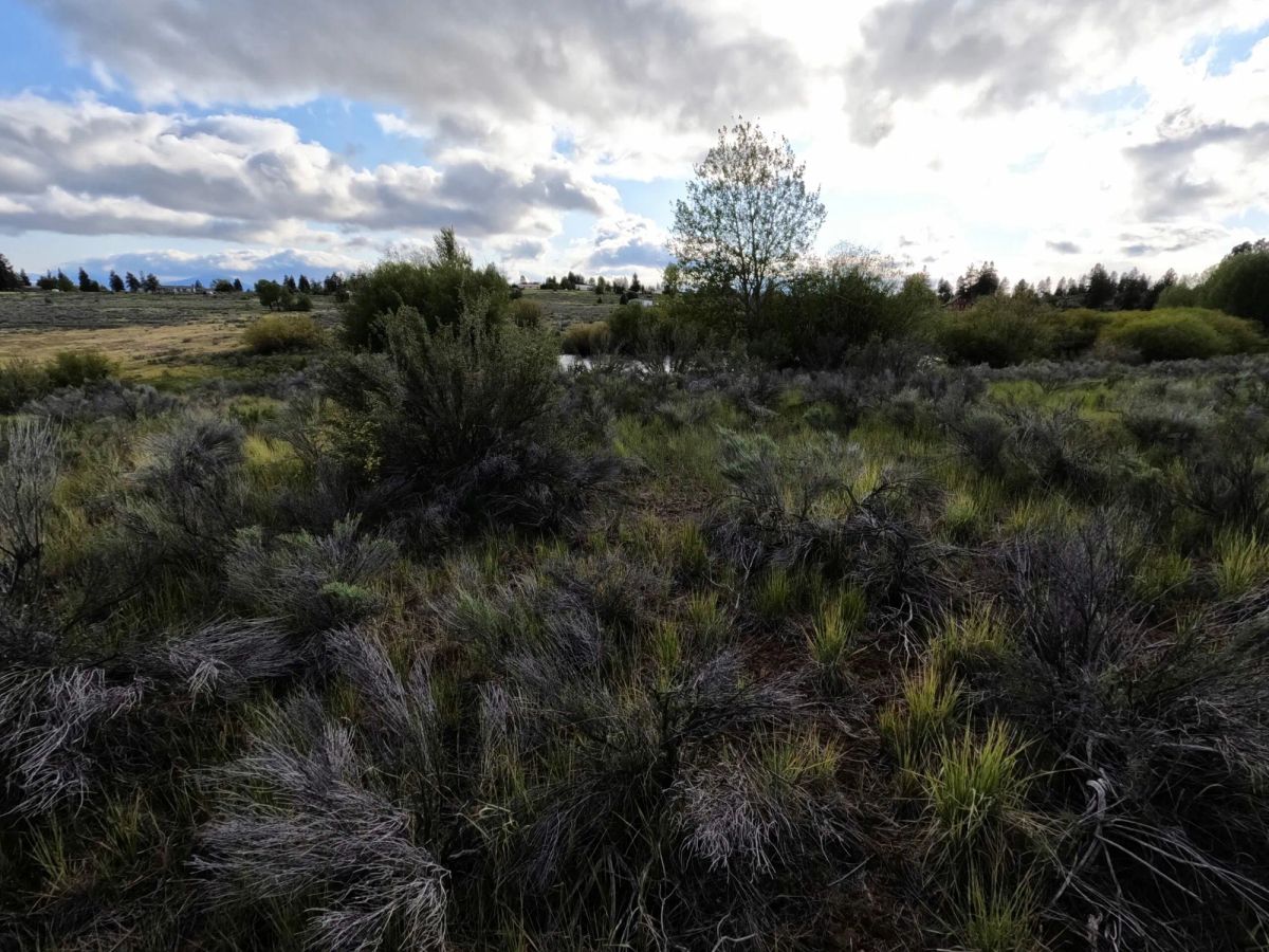 Decorative background for .43 Acres – Buildable Lot with Pond & Utilities in Lakeside Community image 17