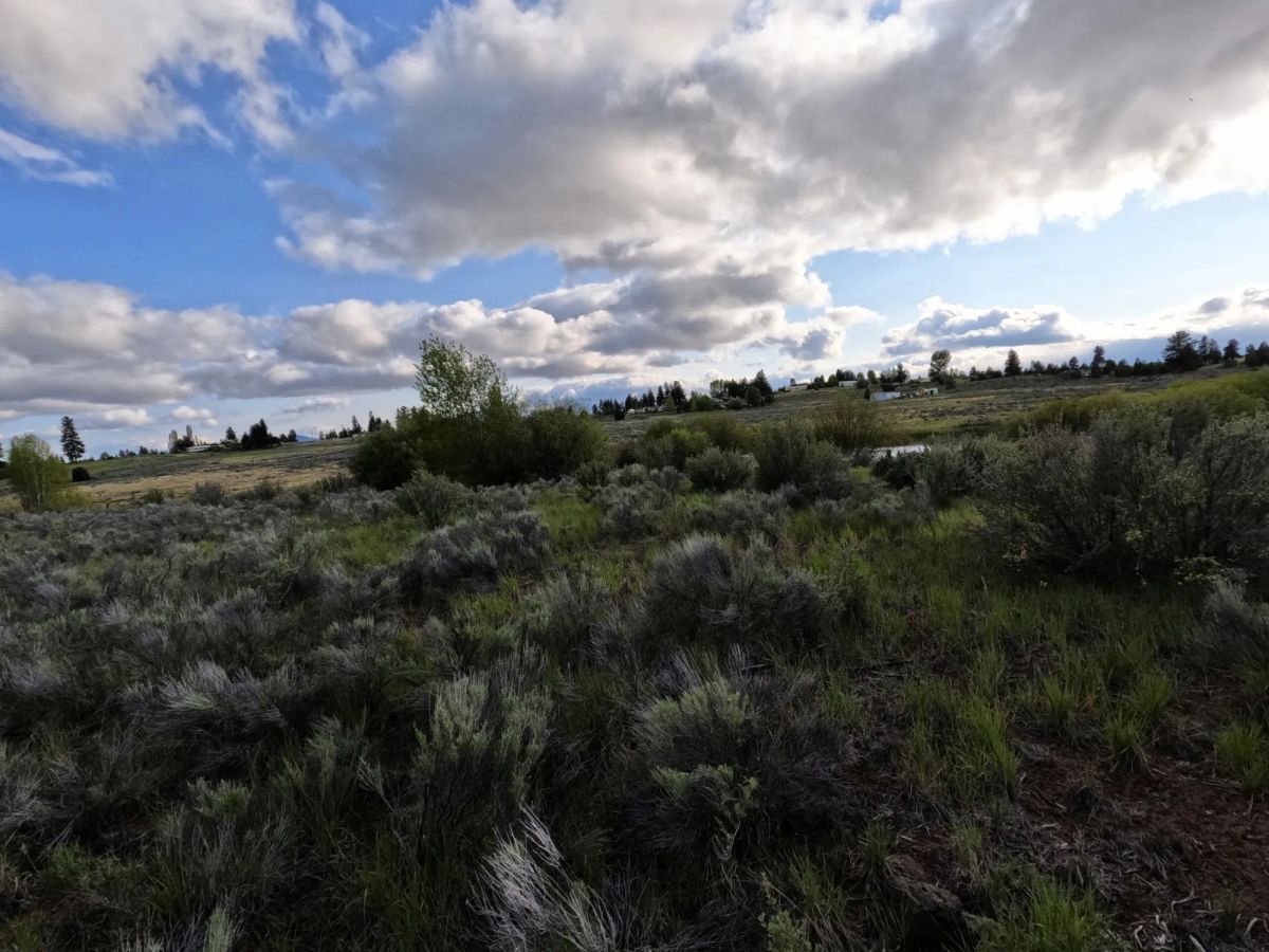 Decorative background for .43 Acres – Buildable Lot with Pond & Utilities in Lakeside Community image 20