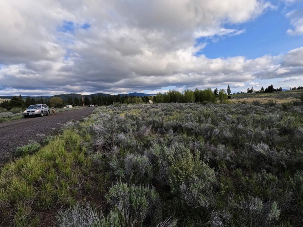 Decorative background for .43 Acres – Buildable Lot with Pond & Utilities in Lakeside Community image 21