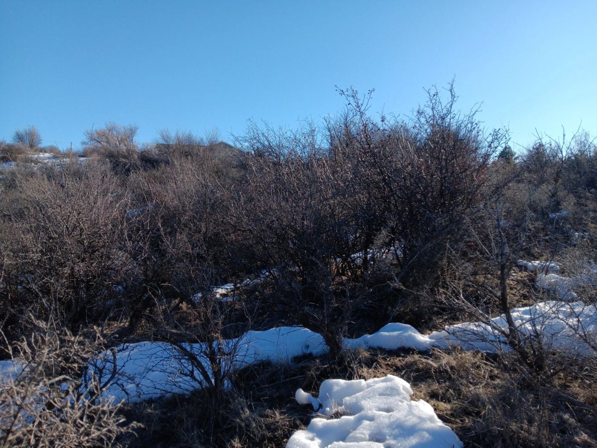 Decorative background for 0.46 Acres – Buildable Land with Potential Lake Views & Community Water in Chiloquin, OR! image 5