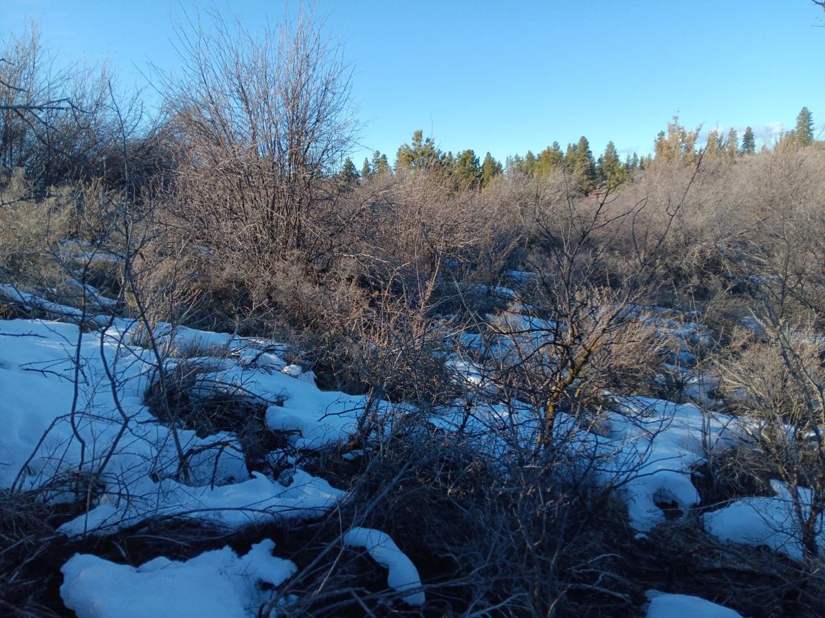 Decorative background for 0.46 Acres – Buildable Land with Potential Lake Views & Community Water in Chiloquin, OR! image 6