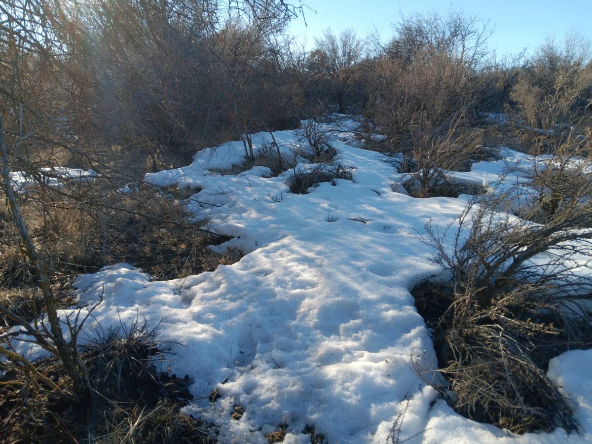 Decorative background for 0.46 Acres – Buildable Land with Potential Lake Views & Community Water in Chiloquin, OR! image 7